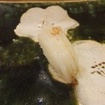 鮨おおね田 - いか