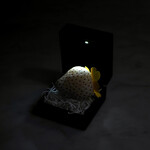 Yama  - 丸ごと苺飴