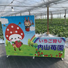 内山いちご園