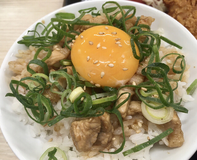 かつや 高松東バイパス店 元山 高松 とんかつ 食べログ