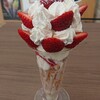 Drink & parfait BLOOM - マウンテンストロベリーパフェ  500円