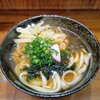 Hiroshimanosaketoumaimonosakeuma - 手延べうどんにタマネギのかき揚げをトッピング