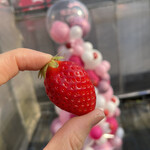 姫路ハートフル観光農園 - 