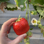 姫路ハートフル観光農園 - 