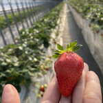 姫路ハートフル観光農園 - 