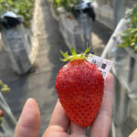 姫路ハートフル観光農園 - 