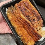 Unagi Shizuka - 