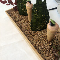 プレヴナンス - 