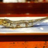 草喰 なかひがし - 