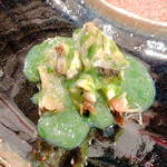 ローズルーム名古屋 - 鮑・フカヒレ　アオサソース