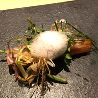 RISTORANTE IL NODO - ホワイトアスパラ 生ハム 畑朝摘みハコベ ノビル)