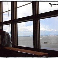 寿司割烹 「ともづな」 ヒルトン福岡シーホーク - 