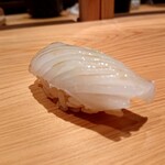 鮨 さかい - アオリイカ
