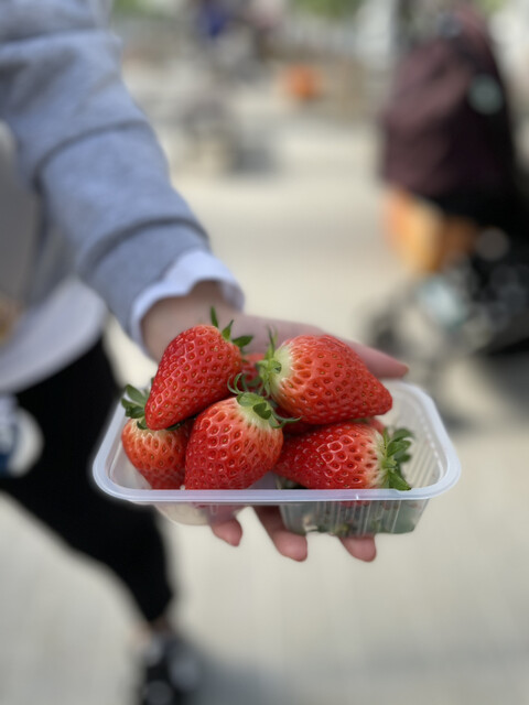 澤田農園 常滑 その他 食べログ
