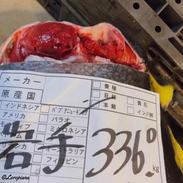 丸和水産 - 岩手飯岡（その他）の写真