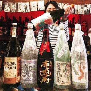 入手困難なフラミンゴオレンジ他マニア垂涎の焼酎をラインナップ