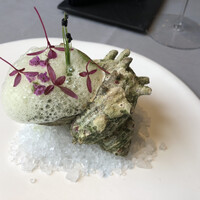 リストランテ・ホンダ - 