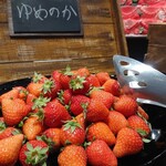 カジュアルダイニング ザ・テラス - 