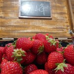 カジュアルダイニング ザ・テラス - 