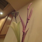 小石川 かとう - 