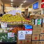 カサブランカ - 