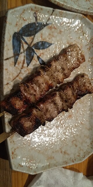 Toriyaki Samurai photo 2