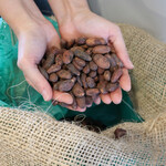 alfer - 料理写真: