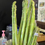 A e B - アスパラ