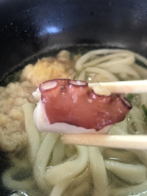 おかめ 三原 うどん 食べログ おかめ 三原 うどん 食べログ