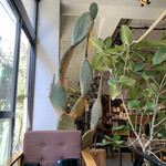 ルート ブックス - 