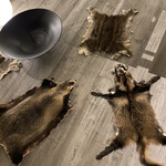 レヴォ - 仕留められた動物たちが