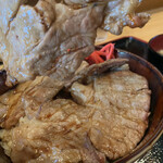 Shuki Fukitarou - 肉たっぷり