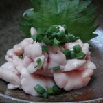 磯じま - 090324 たつ刺