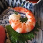 千松しま - 車海老のお刺身