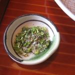 千松しま - 蕗の薹のお塩