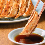 6 authentic grilled Gyoza / Dumpling