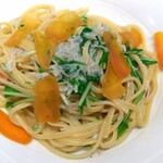 ヴェンティクワットロ - ■しらすと水菜のパスタ   ～からすみ入り～