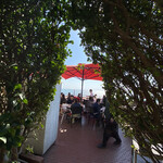 アマルフィイ デラセーラ - 