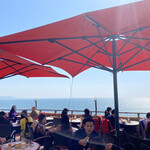 アマルフィイ デラセーラ - 