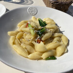 アマルフィイ デラセーラ - 