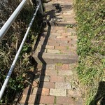 アマルフィイ デラセーラ - 