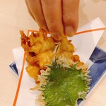 本格手打 もり家 - 