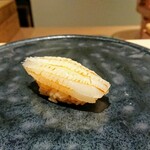 鮨 唐島 - アオリイカ