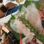 活魚割烹 赤坂 - 