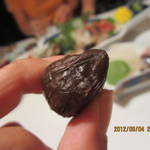 活魚割烹 赤坂 - 