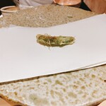 ぬま田 - スナップエンドウ