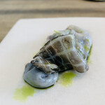 レヴォ - 【水蛸】
      ★ スライス水蛸の薪火焼き、梅肉ソースと大葉のオイル