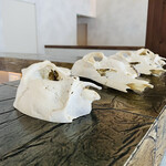 レヴォ - 内観9：鹿の頭蓋