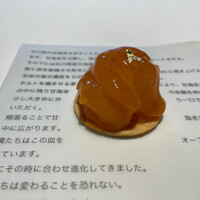 レスピラシオン - 