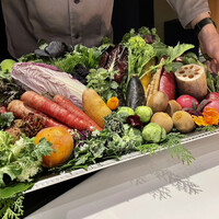 レフェルヴェソンス - 